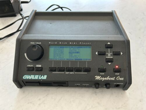 Charlie Lab MegaBeat One