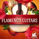 Flamenco Guitars WAV REX-FANTASTiC