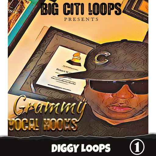 Diggy Loops Grammy Vocal Hooks WAV-FANTASTiC