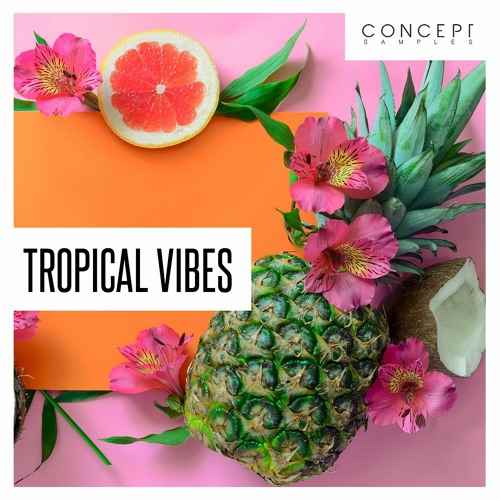 Tropical Vibes WAV-FANTASTiC