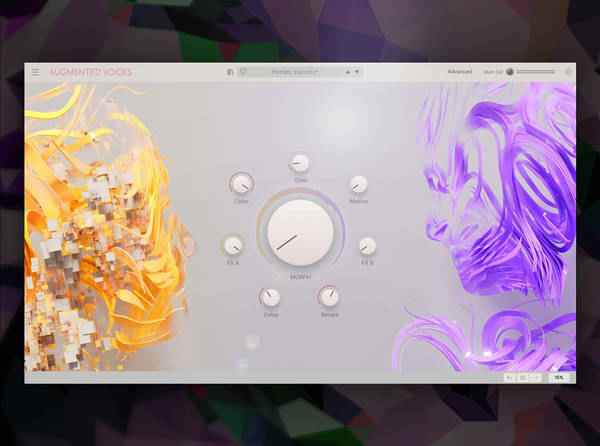 Augmented VOICES Explained®