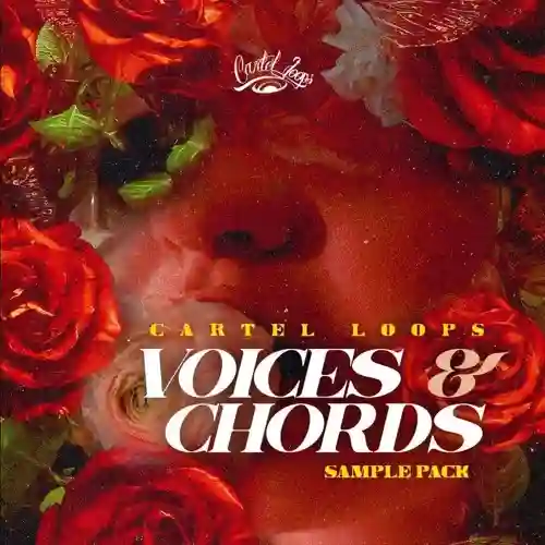 Voices And Chords WAV MiDi-FANTASTiC