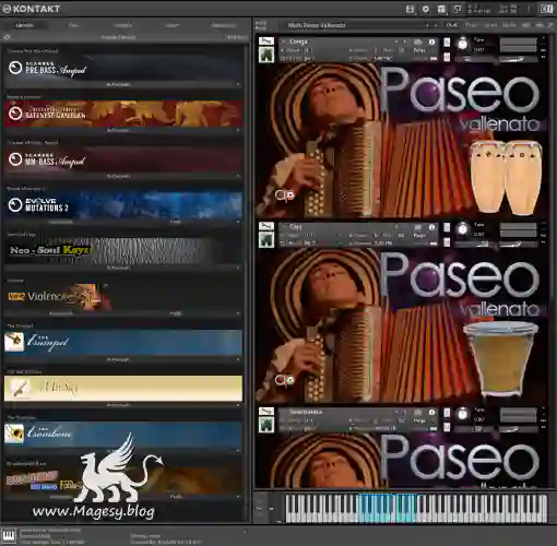 Paseo Vallenato Multiformato Fantastico Magesy