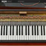 Pianet-T v1.0.3 WiN-R2R