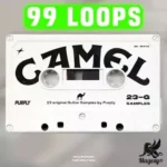 Camel Vol.1 Guitar Loop Kit WAV-FANTASTiC