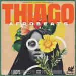Thiago Afrobeats WAV MiDi-FANTASTiC