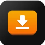 iDownerGo v10.3.0 macOS-TNT