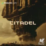 Citadel MULTiFORMAT-FANTASTiC
