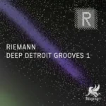 Deep Detroit Grooves 1 WAV-FANTASTiC