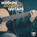 Modern Country Guitars Vol.1 WAV-FANTASTiC
